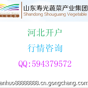 山东寿光蔬菜产业集团商品交易市场河南运营中心_商务服务_世界工厂网